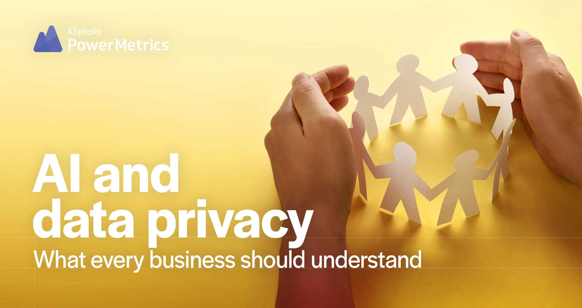 Pm Guide AI Data Privacy